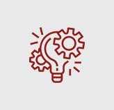 Acompanhamento e participação em projetos culturais e sociais.